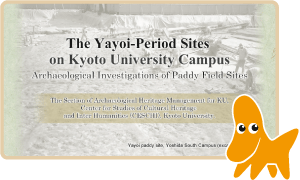 Yayoi period on Kyoto University campus