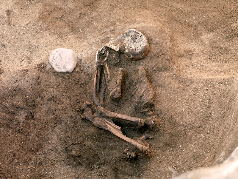 縄文時代晩期の女性人骨