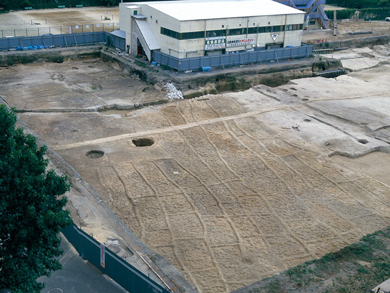 弥生時代前期の水田跡（吉田南構内・1993年度調査）