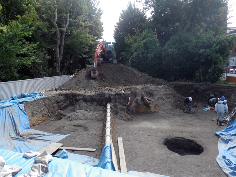 調査区西辺（西から）