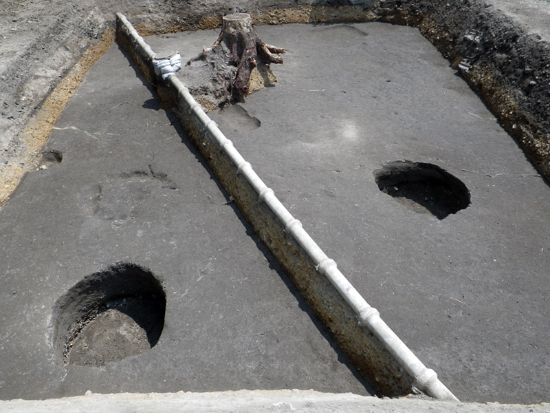 表土掘削後の調査区全景（西から）