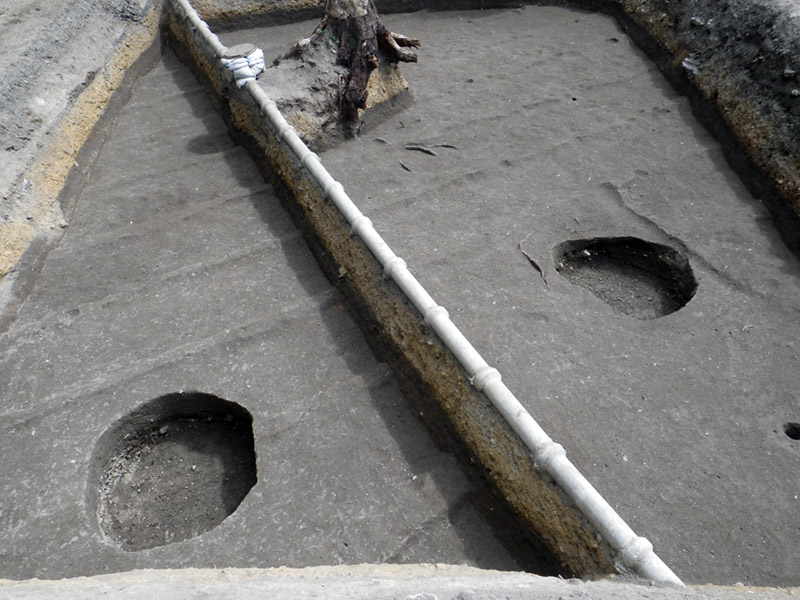 茶褐色土掘削後の調査区全景（西から）