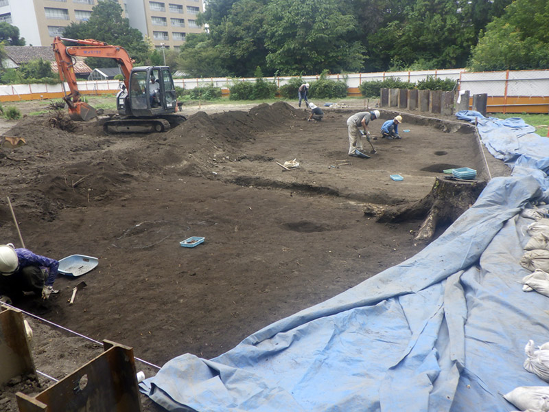 調査区北辺全景（東から）