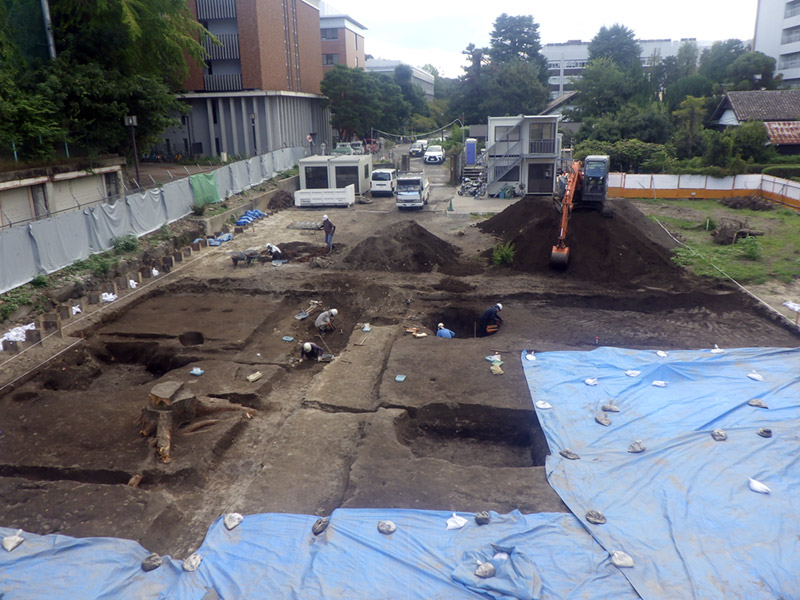 調査区全景（北から）