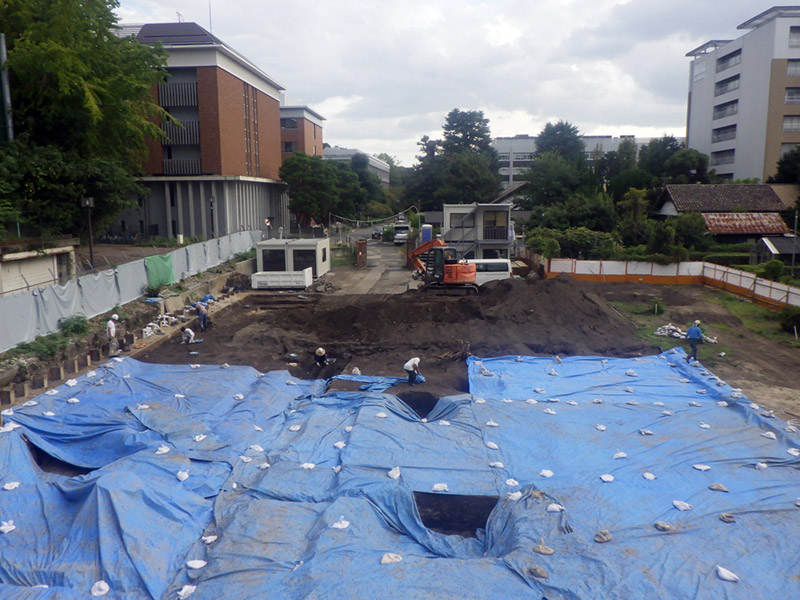 調査区全景（北から）