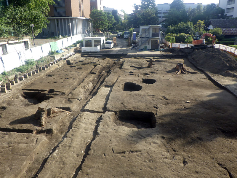 表土・撹乱除去後の調査区全景（北から）