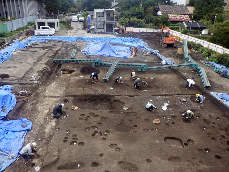 作業中の調査区（北から）