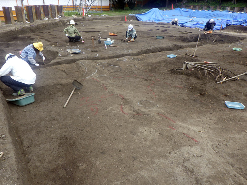 畝状の高まりの検出状況（南から）