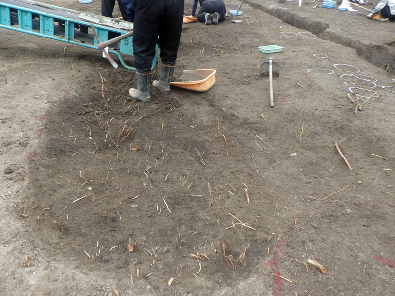 掘削している際の根の状態（東から）