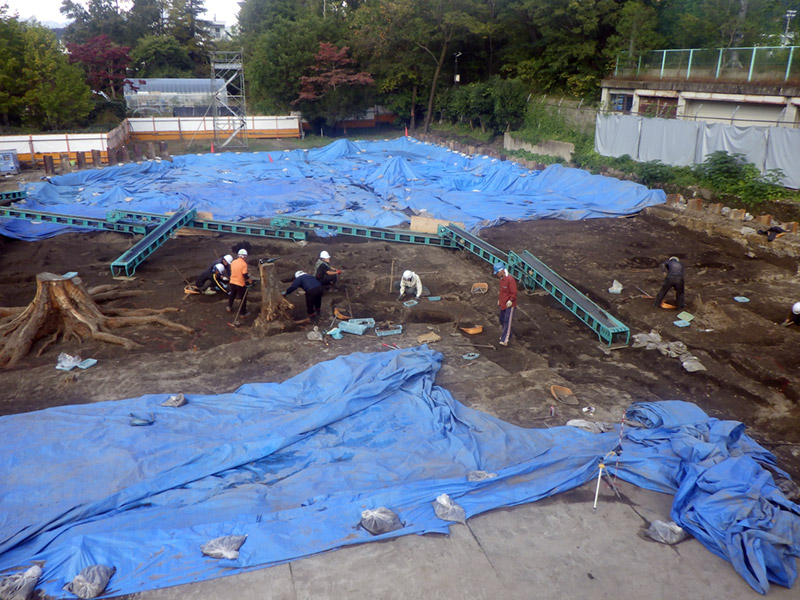 作業中の調査区（南から）