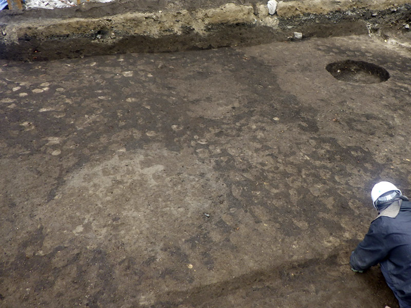 検出された耕作の痕跡（西から）