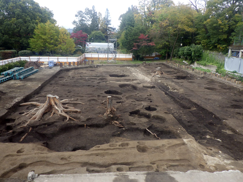 近世～近代遺構面全景（南から）