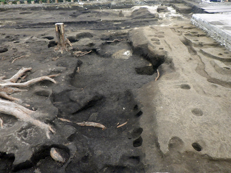 北から南へと下る段差の検出状況（西から）