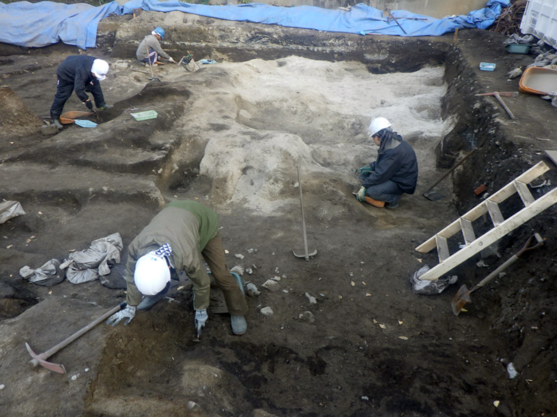 調査区東南一帯の調査状況（西から）