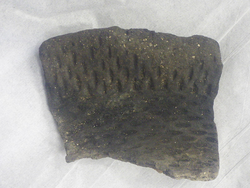 出土した縄文早期の土器片