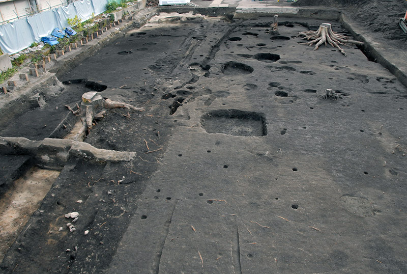 黒色土層上面の調査区全景（北から）