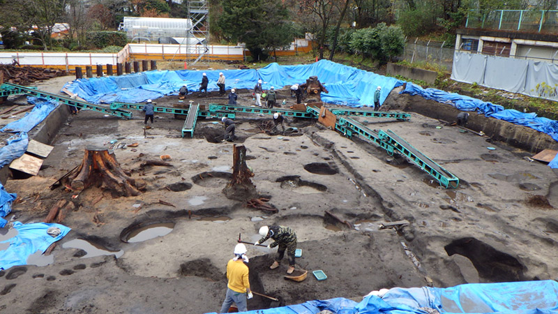 黒色土層掘り下げ作業中の全景（南から）