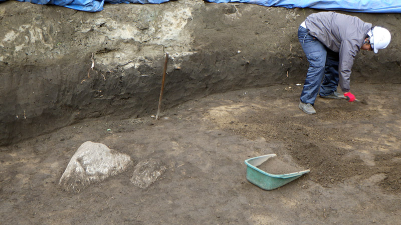 基盤の砂層上面に飛び出している巨礫頂部のようす（南から）